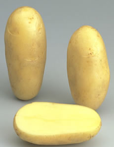 amendine